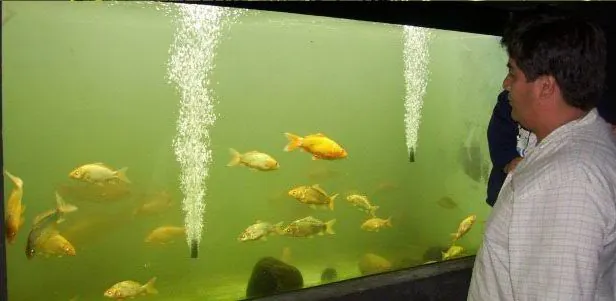 Tours guiados ecológicos en Finca Sarahi, atractivos turísticos Puyo